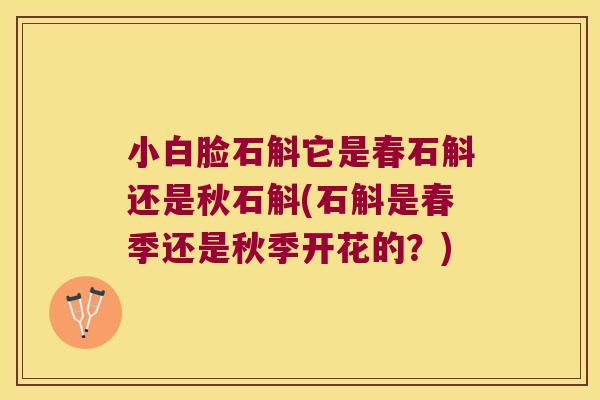 小白脸石斛它是春石斛还是秋石斛(石斛是春季还是秋季开花的？)