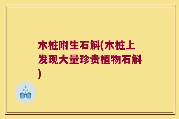 木桩附生石斛(木桩上发现大量珍贵植物石斛)