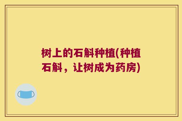 树上的石斛种植(种植石斛，让树成为药房)