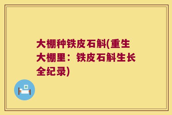 大棚种铁皮石斛(重生大棚里：铁皮石斛生长全纪录)