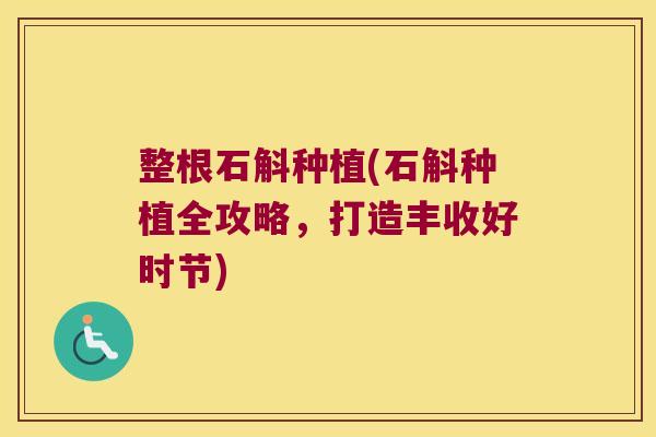 整根石斛种植(石斛种植全攻略，打造丰收好时节)