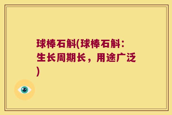 球棒石斛(球棒石斛：生长周期长，用途广泛)