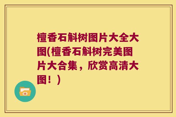 檀香石斛树图片大全大图(檀香石斛树完美图片大合集，欣赏高清大图！)