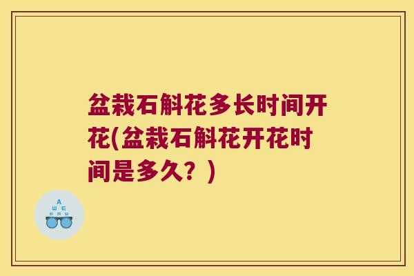 盆栽石斛花多长时间开花(盆栽石斛花开花时间是多久？)