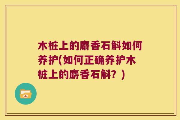 木桩上的麝香石斛如何养护(如何正确养护木桩上的麝香石斛？)