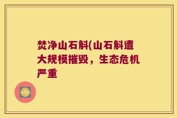 焚净山石斛(山石斛遭大规模摧毁，生态危机严重