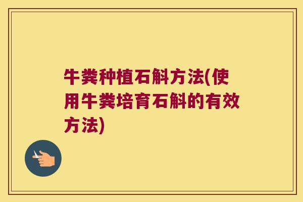 牛粪种植石斛方法(使用牛粪培育石斛的有效方法) 牛粪种植石斛方法(使用牛粪培育石斛的有效方法)