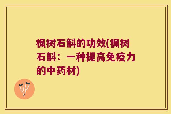 枫树石斛的功效(枫树石斛：一种提高免疫力的中药材)