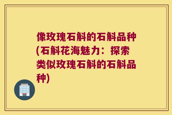 像玫瑰石斛的石斛品种(石斛花海魅力：探索类似玫瑰石斛的石斛品种)