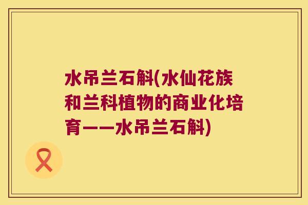 水吊兰石斛(水仙花族和兰科植物的商业化培育——水吊兰石斛) 水吊兰石斛(水仙花族和兰科植物的商业化培育——水吊兰石斛)