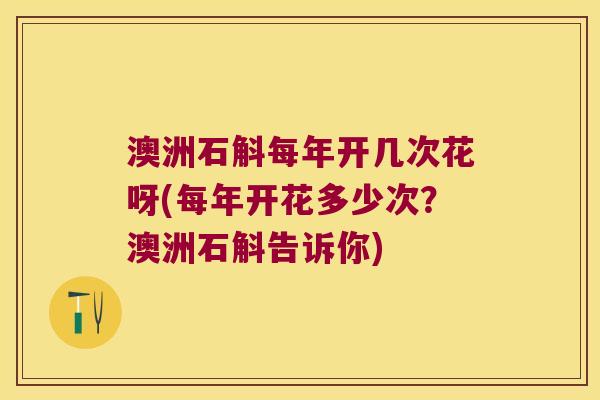 澳洲石斛每年开几次花呀(每年开花多少次？澳洲石斛告诉你)