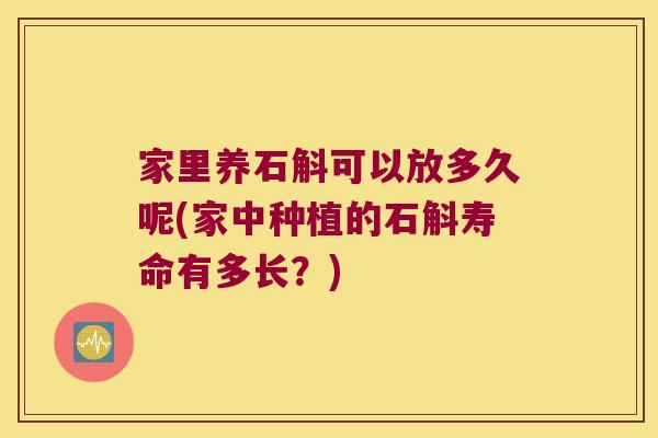 家里养石斛可以放多久呢(家中种植的石斛寿命有多长？)