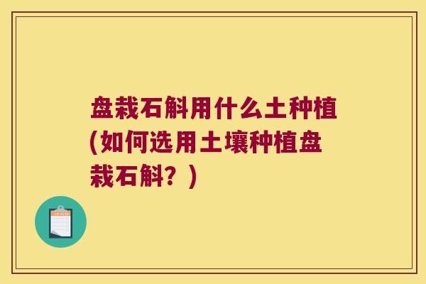 盘栽石斛用什么土种植(如何选用土壤种植盘栽石斛？)