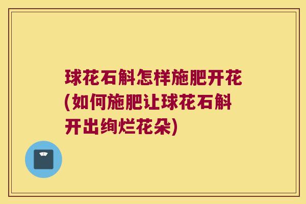 球花石斛怎样施肥开花(如何施肥让球花石斛开出绚烂花朵)