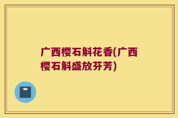 广西樱石斛花香(广西樱石斛盛放芬芳)