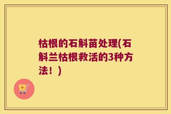 枯根的石斛苗处理(石斛兰枯根救活的3种方法！)