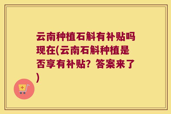 云南种植石斛有补贴吗现在(云南石斛种植是否享有补贴？答案来了)