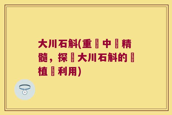大川石斛(重現中藥精髓，探討大川石斛的種植與利用)