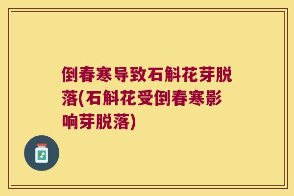 倒春寒导致石斛花芽脱落(石斛花受倒春寒影响芽脱落)