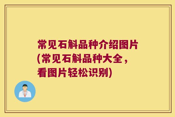 常见石斛品种介绍图片(常见石斛品种大全，看图片轻松识别)