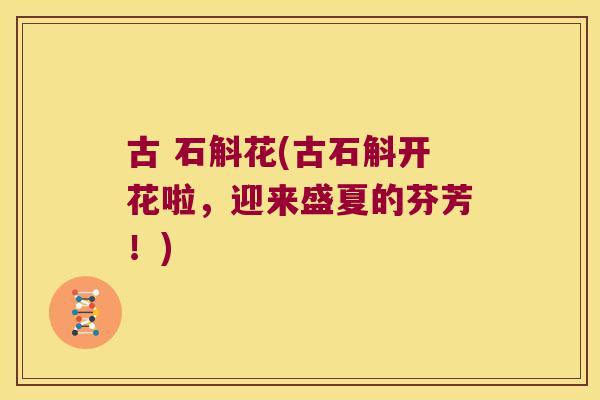 古 石斛花(古石斛开花啦，迎来盛夏的芬芳！)