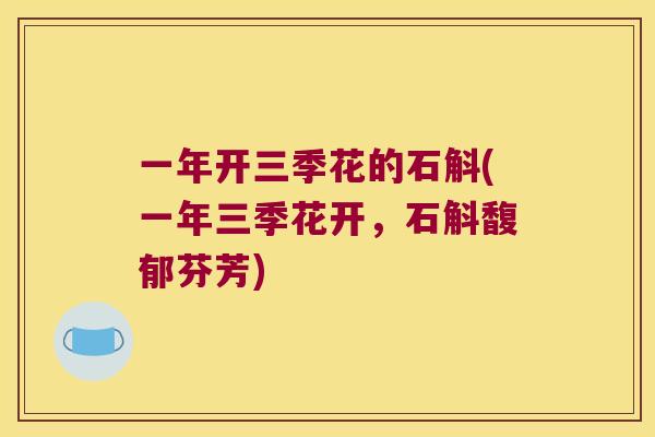 一年开三季花的石斛(一年三季花开，石斛馥郁芬芳)