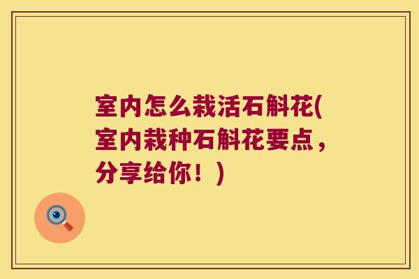 室内怎么栽活石斛花(室内栽种石斛花要点，分享给你！)