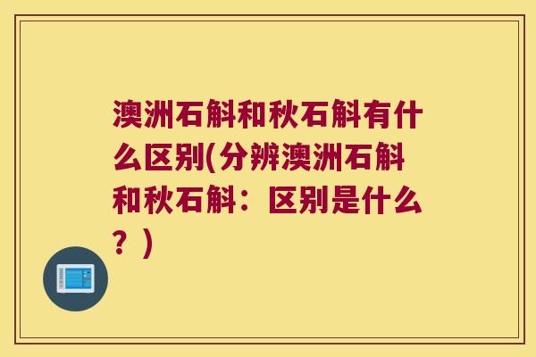 澳洲石斛和秋石斛有什么区别(分辨澳洲石斛和秋石斛：区别是什么？)