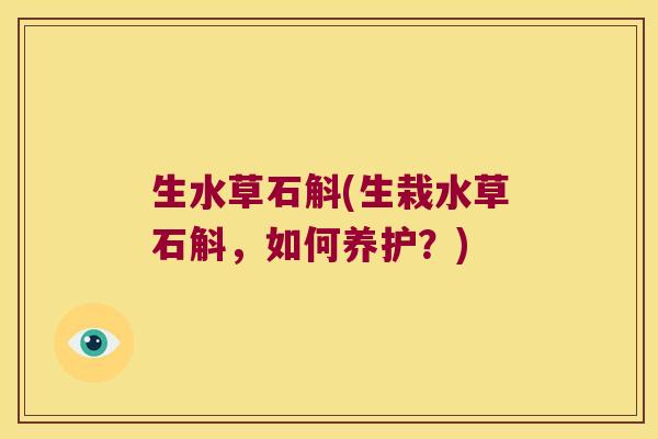 生水草石斛(生栽水草石斛，如何养护？)