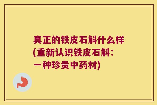 真正的铁皮石斛什么样(重新认识铁皮石斛：一种珍贵中药材)