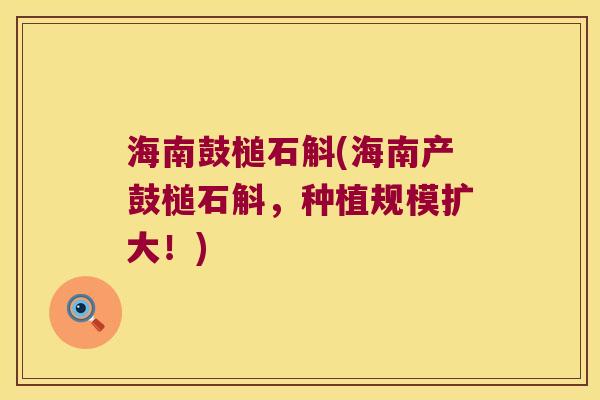 海南鼓槌石斛(海南产鼓槌石斛,种植规模扩大!) 海南鼓槌石斛(海南产鼓槌石斛,种植规模扩大!)
