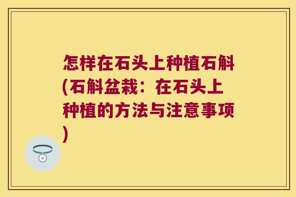怎样在石头上种植石斛(石斛盆栽：在石头上种植的方法与注意事项)