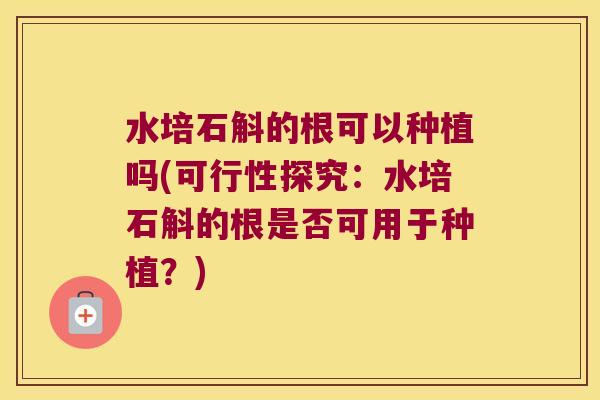 水培石斛的根可以种植吗(可行性探究：水培石斛的根是否可用于种植？)