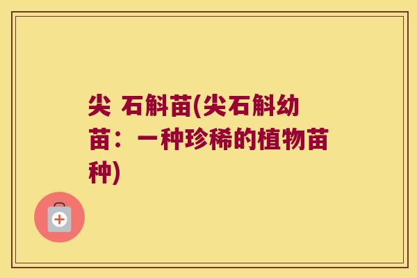 尖 石斛苗(尖石斛幼苗：一种珍稀的植物苗种)
