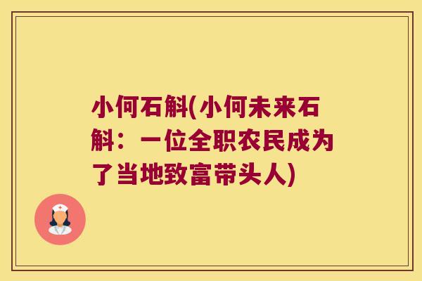小何石斛(小何未来石斛：一位全职农民成为了当地致富带头人)