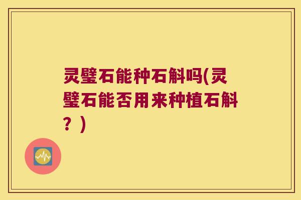 灵璧石能种石斛吗(灵璧石能否用来种植石斛？)