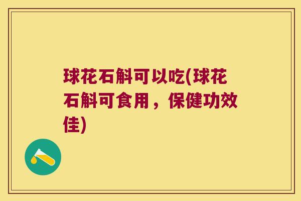 球花石斛可以吃(球花石斛可食用,保健功效佳) 球花石斛可以吃(球花石斛可食用,保健功效佳)