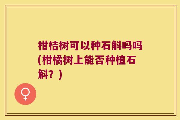 柑桔树可以种石斛吗吗(柑橘树上能否种植石斛？)