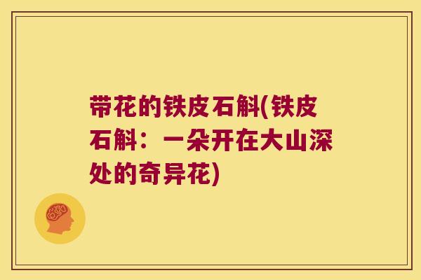 带花的铁皮石斛(铁皮石斛：一朵开在大山深处的奇异花)