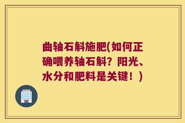 曲轴石斛施肥(如何正确喂养轴石斛？阳光、水分和肥料是关键！)