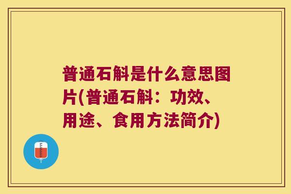 普通石斛是什么意思图片(普通石斛:功效、用途、食用方法简介) 普通石斛是什么意思图片(普通石斛:功效、用途、食用方法简介)