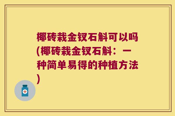 椰砖栽金钗石斛可以吗(椰砖栽金钗石斛：一种简单易得的种植方法)