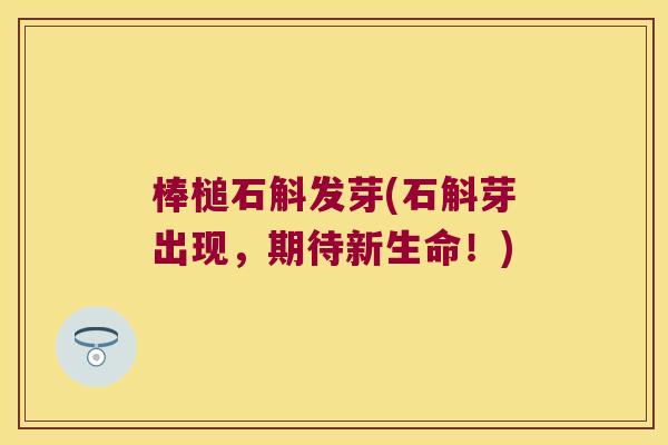 棒槌石斛发芽(石斛芽出现，期待新生命！)
