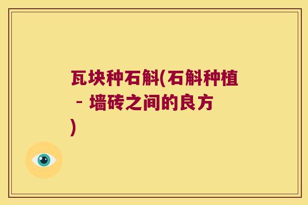 瓦块种石斛(石斛种植 - 墙砖之间的良方)