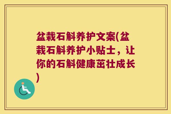 盆栽石斛养护文案(盆栽石斛养护小贴士，让你的石斛健康茁壮成长)