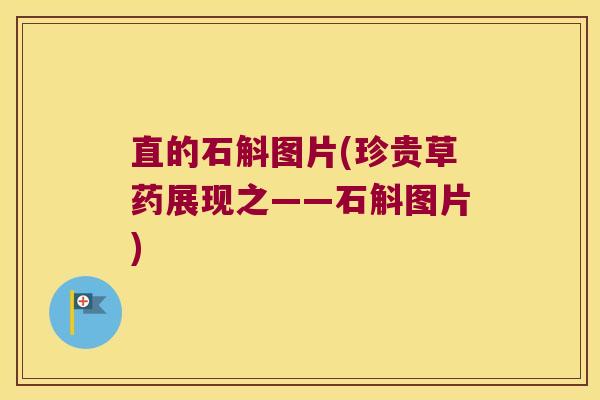 直的石斛图片(珍贵草药展现之——石斛图片)