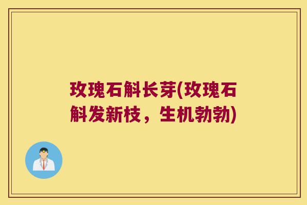 玫瑰石斛长芽(玫瑰石斛发新枝，生机勃勃)