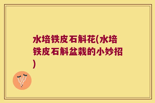 水培铁皮石斛花(水培铁皮石斛盆栽的小妙招)