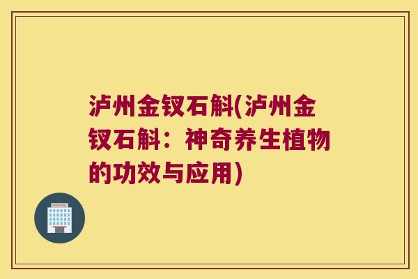 泸州金钗石斛(泸州金钗石斛：神奇养生植物的功效与应用)