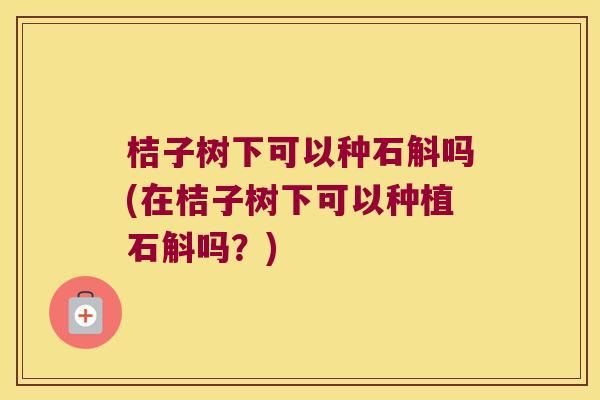 桔子树下可以种石斛吗(在桔子树下可以种植石斛吗？)
